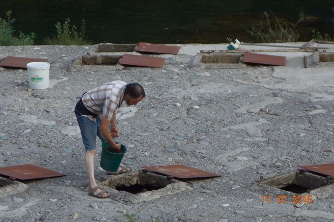 Nourrissage des truites avec une alimentation biologique à base de végétaux et farine de poissons de mer